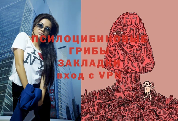 прущая мука Дмитров