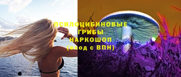 бутират Дмитриев